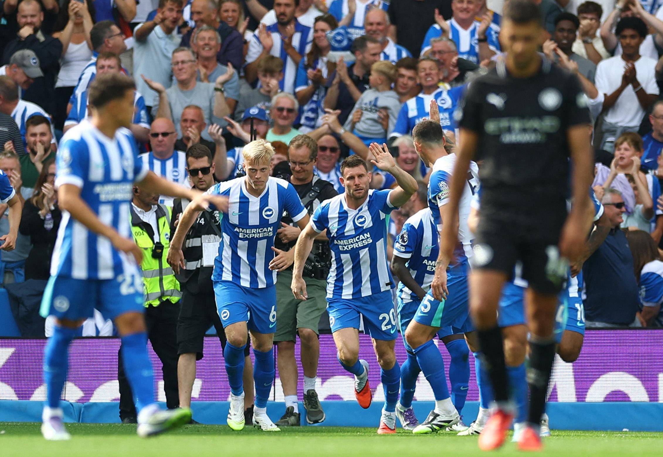 局的全链路 局的全链路