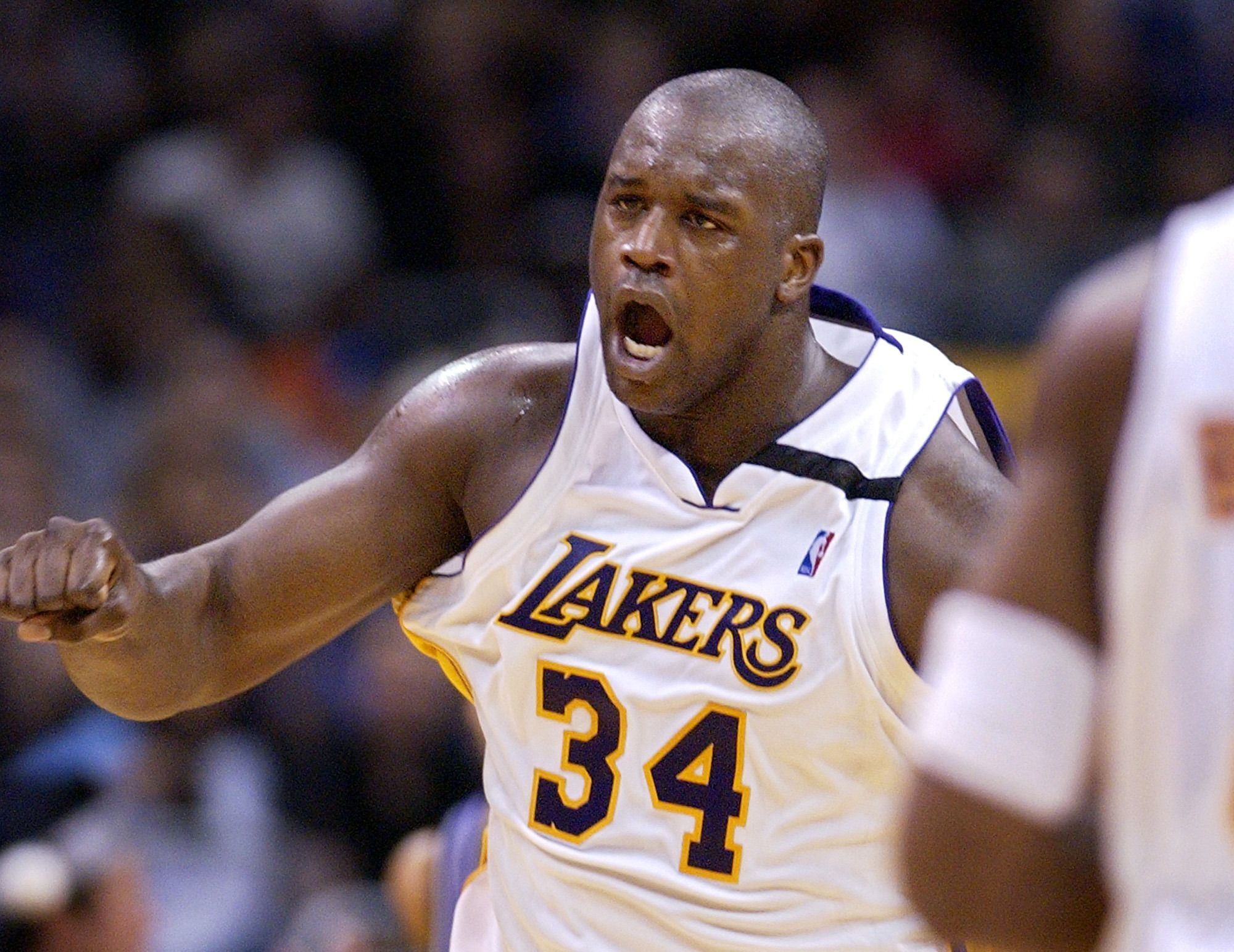 育走向成熟 育走向成熟